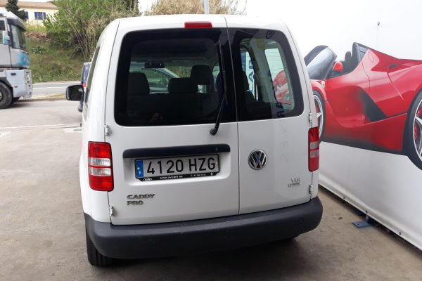 20190319_124822_resized