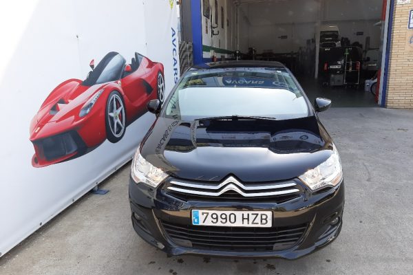 20190615_105420_resized_1