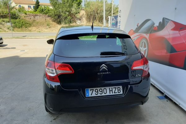 20190615_105446_resized_1